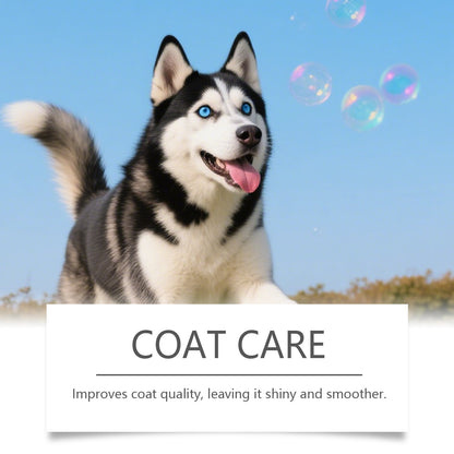 Dog Hair Care
