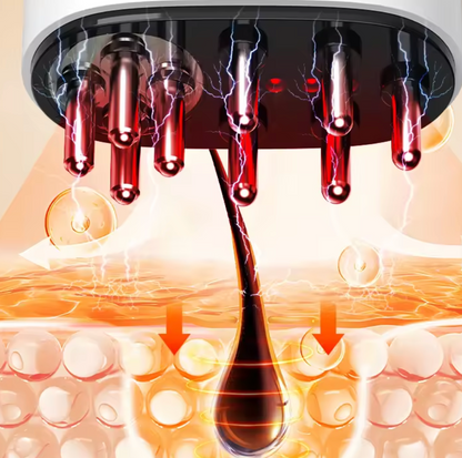 Equipo de Belleza Peine Aplicador de Aceite